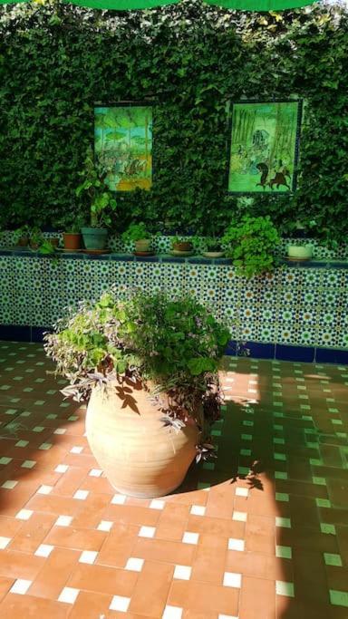 Sevilla A Tus Pies Майрена-дель-Альхарафе Экстерьер фото